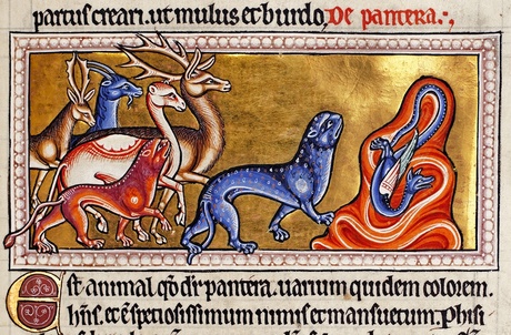 Bestiary Panther