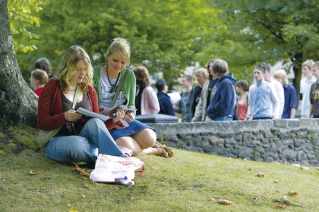 Students sitting by a tree image