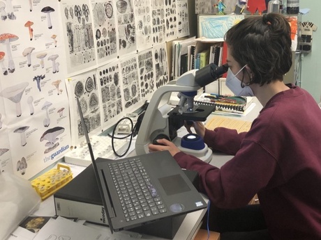 Clara Veiga studying pollen contained in dental plaque