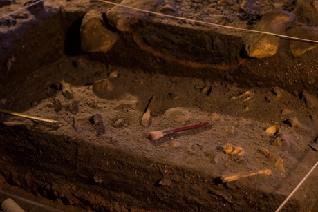 Archeological excavation showing soil and bones