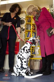 Her Royal Highness The Duchess of Rothesay meets the real 'Millie'