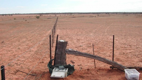 Seismic recorders placed around southeast Australia were used to record the data