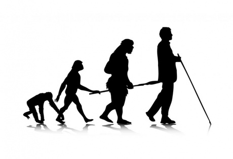 Study finds link between back pain and evolution to upright walking