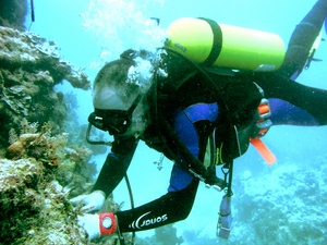Professor Marcel Jaspars Director of the Marine Biodiscovery Centre