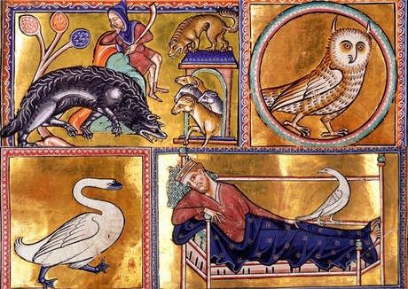 The Bestiary given to the University by Thomas Reid