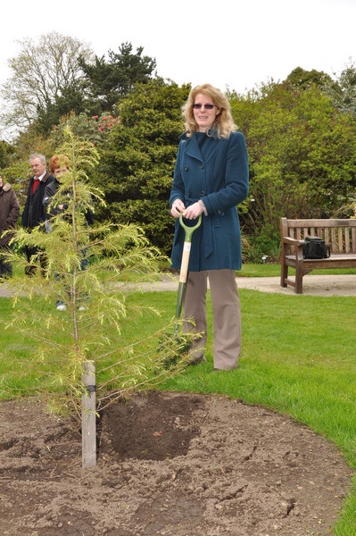 Tree planting memorial ceremony