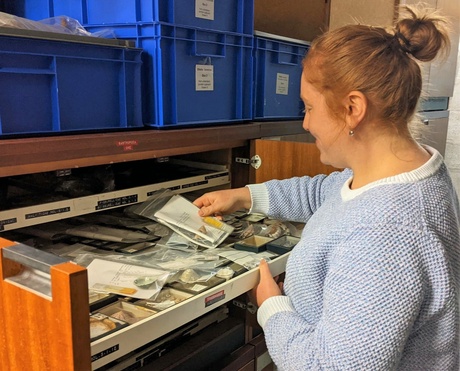 Hannah Clarke with the original mollusc storage