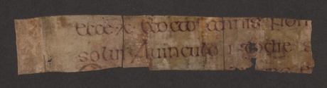 A fragment from the new discovery which could shed light on 'The Book of Kells'