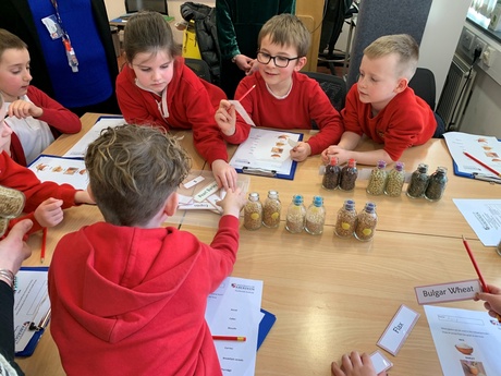 Boys and girls from Primary 3 looking at different types of beans and grains in glass bottles