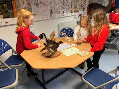 Pupils at a table with animals and skulls on it