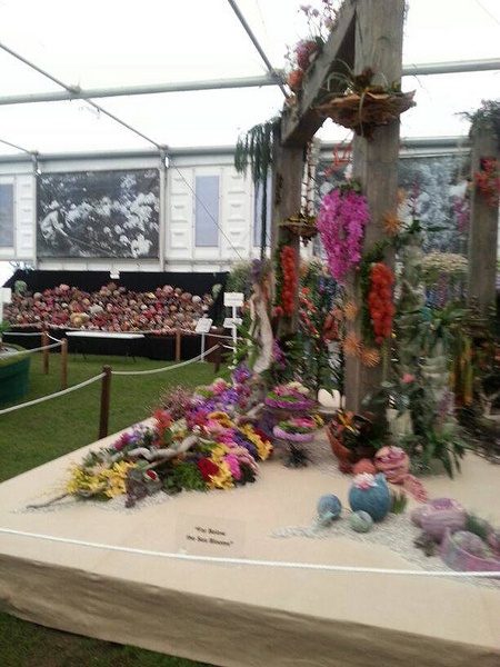 The SAFAS team display at Chelsea Flower Show 2013
