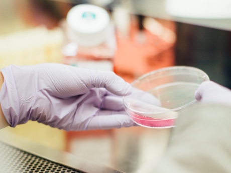A hand in a latex glove holding a petri dish in a lab