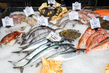 image of fish at market