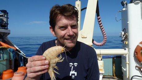 Alan Jamieson with one of the supergiant amphipods. Photo copyright of Oceanlab, University of Aberdeen, UK.