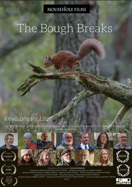 Film poster for The Bough Breaks