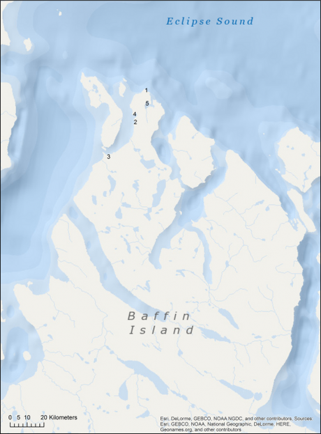 Baffin Island http://onlinelibrary.wiley.com/doi/10.1111/jpy.12417/full