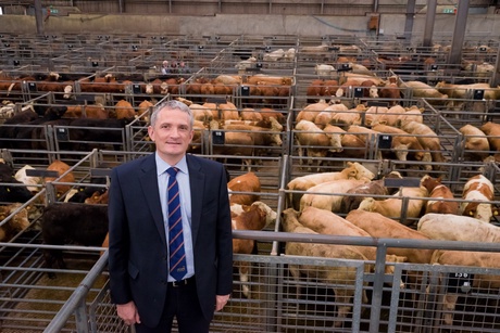 Grant Rogerson of ANM Group with livestock