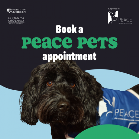 An image of a Peace Pets Therapy Dog with accompanying text saying 'Book a Peace Pets Appointment'