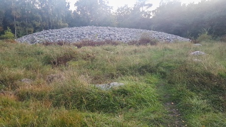 Bronze Age stone mound (Blå Rör, Öland)