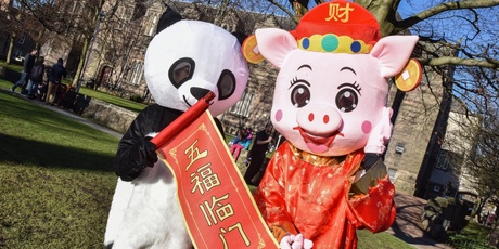 Chinese New Year Festival