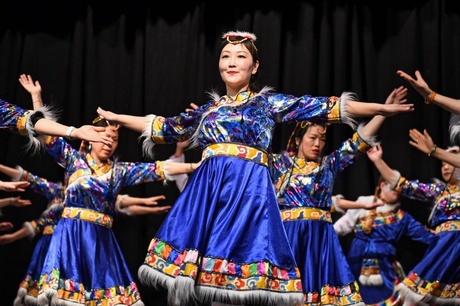 Chinese New Year Gala Show