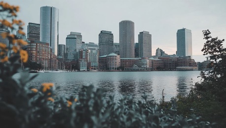 Boston skyline photo, taken through foliage. The leaves are in the foreground and the skyline of buildings can be seen across a body of water.