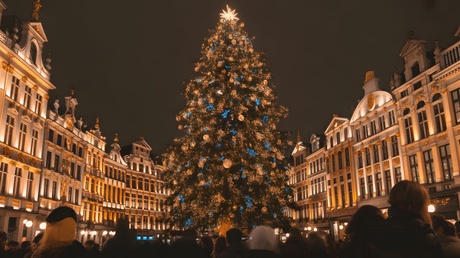 Illuminated Christmas Tree, Grand Place, Brussels