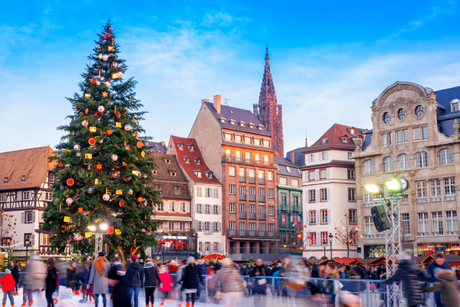 Strasbourg Christmas Market and Christmas Tree