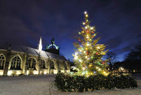 Christmas Tree at Kings