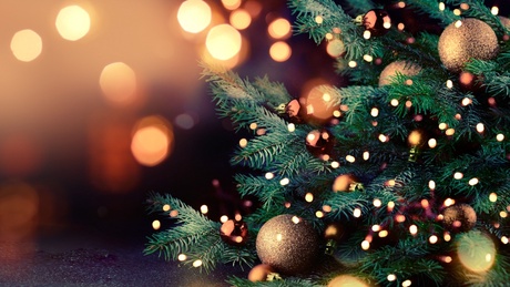 Christmas tree with blurred lights in the background