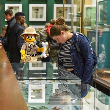 Doors Open Day 2025: Visit the Zoology Museum