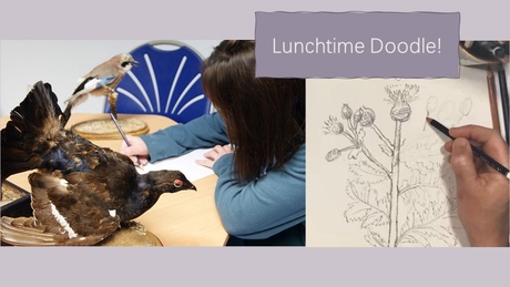 Creative Collections Lunchtime Doodle