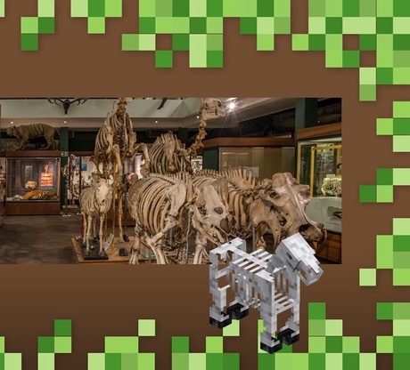 Easter at the Zoology Museum