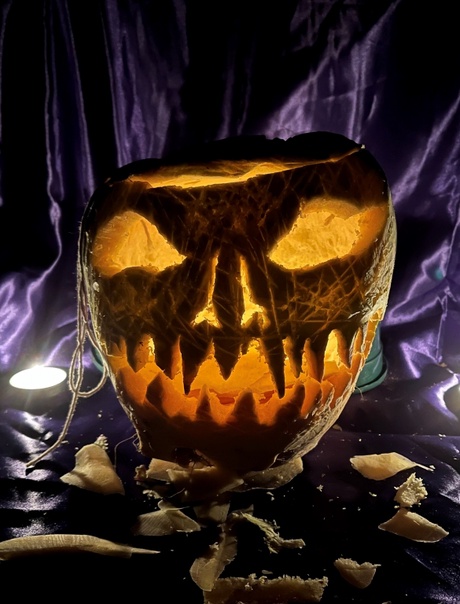 Winning creation by Gareth Dunnett in 2024