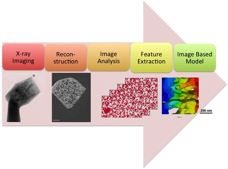 An illustration of the volumetric data processing pipeline for X-ray tomographic data sets.
