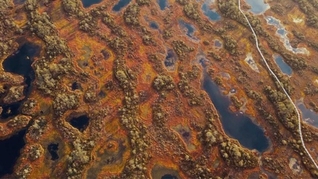An overhead view from the sky of bog land