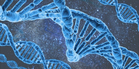 Life at the Molecular Level: CPD Day for Biology Teachers