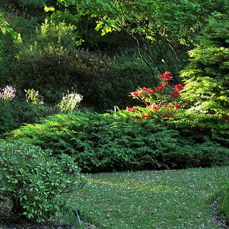 Cruickshank Botancal Gardens