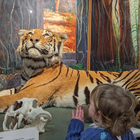people visiting the Zoology Museum