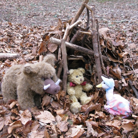 Bear Hunt