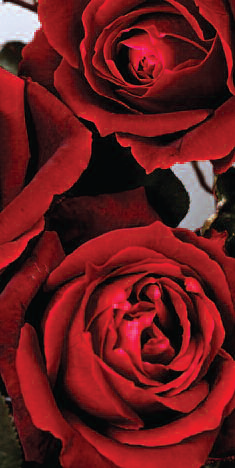 Aberdeen University Opera Society Present: Carmen