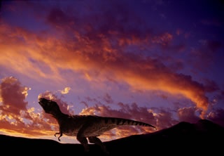 Night of the Dinosuars