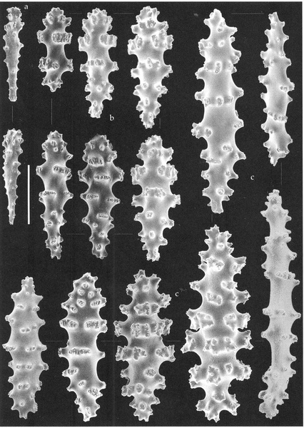 Marine Biodiscovery Public Lecture