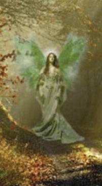 Purcell: The Fairy Queen