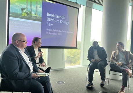 Prof Gordon, Prof Woolley, Dr Wifa, and Prof Anchustegui