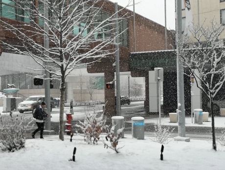 View of outside from the Conference