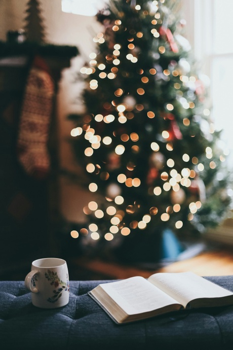 a book and a mug sat oin a sofa with a christmas tree in the background