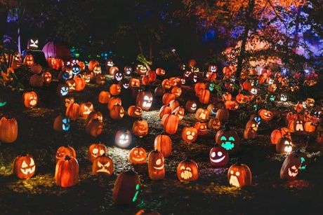 Pumpkins with faces in the dark
