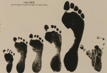footprints