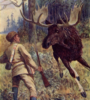 In the Land of the Moose